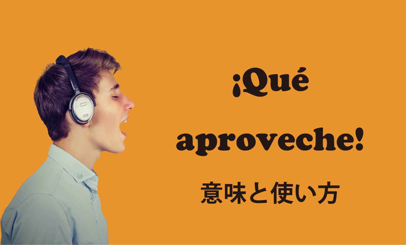 que aprovecheブログ　表紙