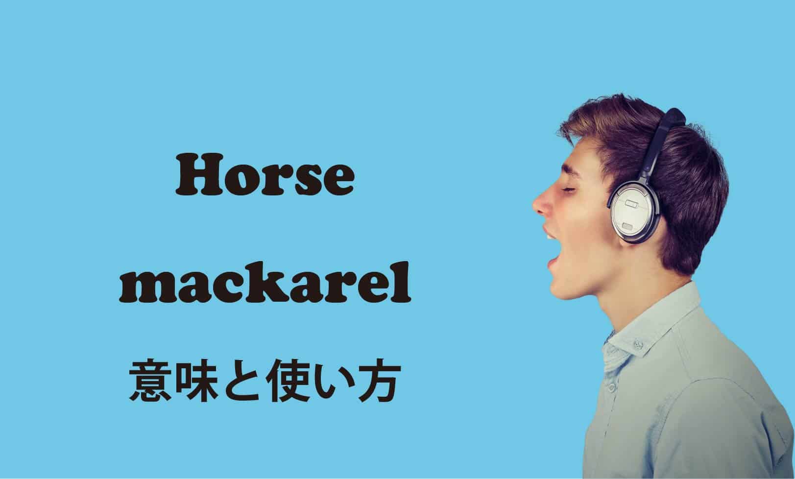 Horse mackarel ブログ　表紙